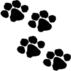 Animal Paw Prints
