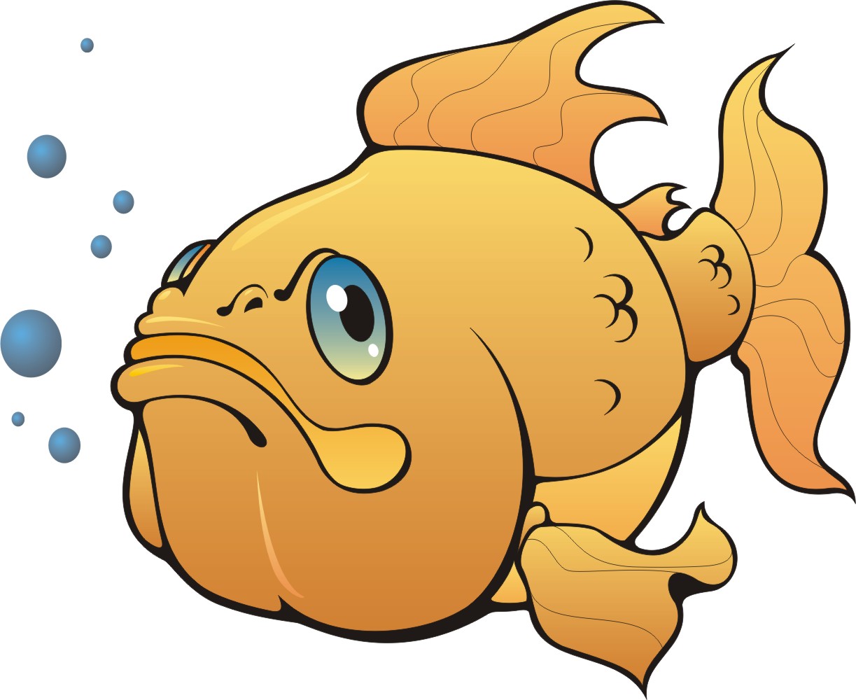 fish 1