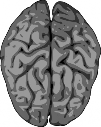 Grey Brain clip art vector, free vectors
