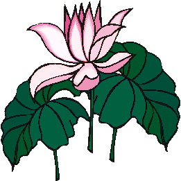 Clip Art - Clip art water lily 363449