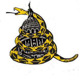 NE Tarrant Tea Party