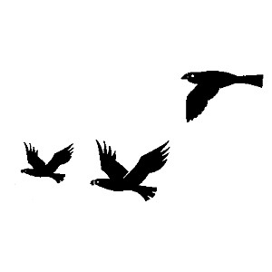Clip-Art Silhouettes: Bird Flying | Watersheds | US EPA - Polyvore