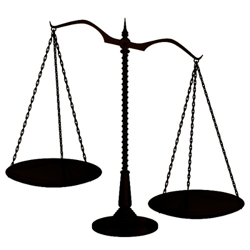 Checks And Balances Scale 89949 | DFILES