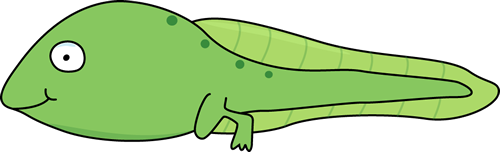Frog Clip Art - Frog Images