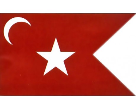 South Carolina State Flag