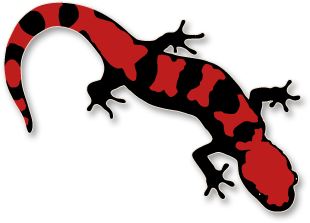 Mudpuppy Clipart | Free Download Clip Art | Free Clip Art | on ...
