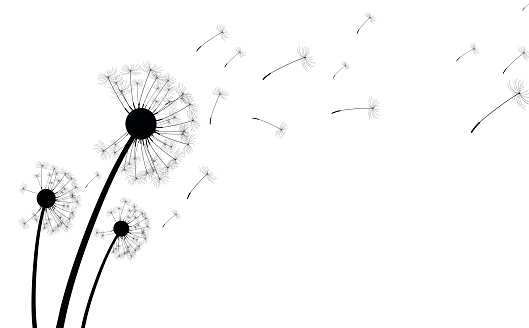 Dandelion Clip Art, Vector Images & Illustrations