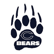 Grizzly Bear Paw