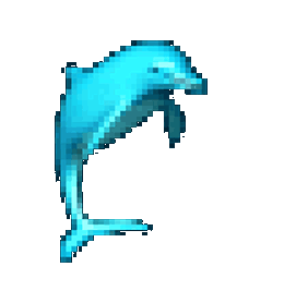 Amazing Animated Dolphin Gifs at Best Animations