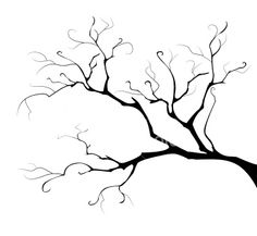Branches