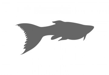 Marine Stencil Shapes - Custom Ocean Stencils - Beach Stencils ...