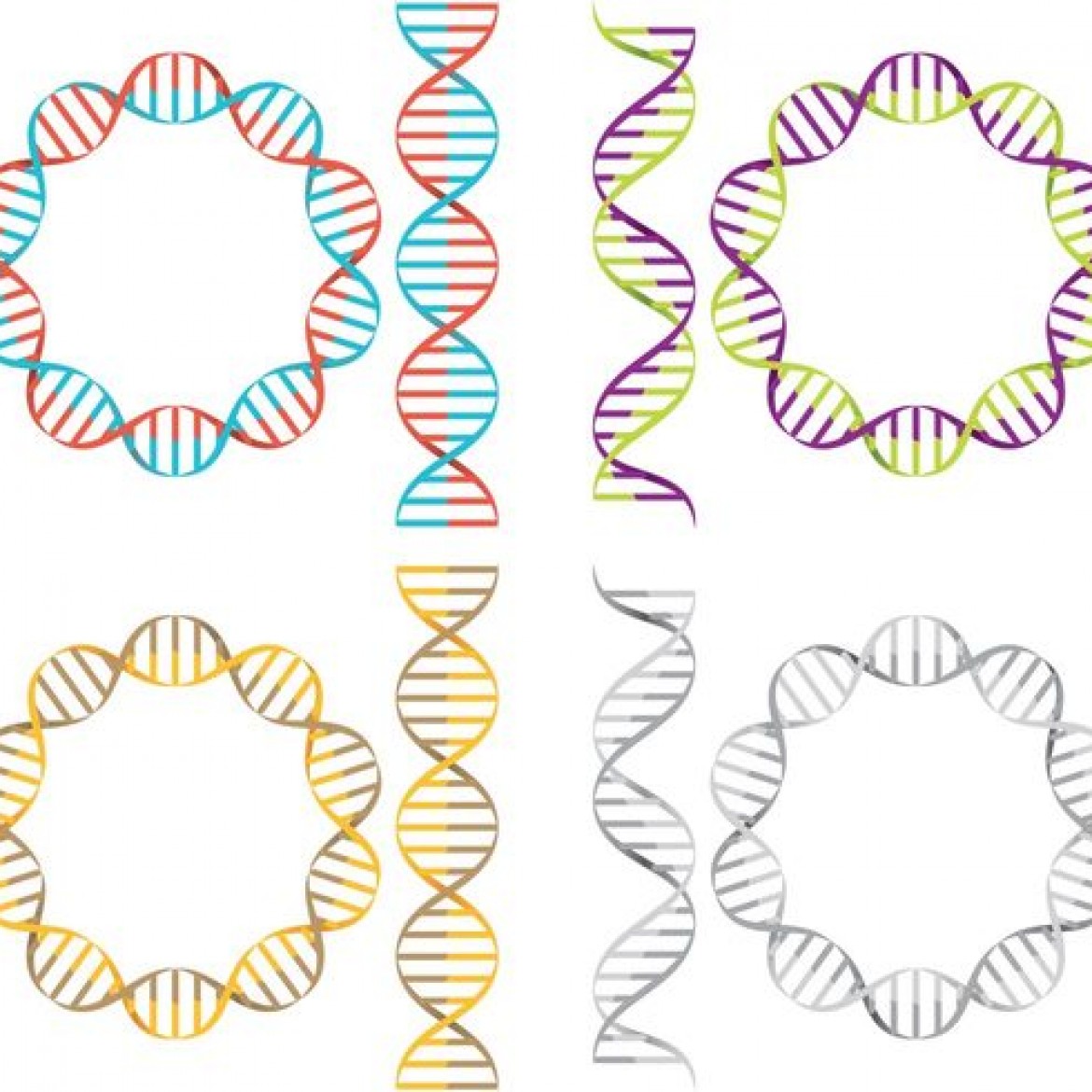 Free vector Double Helix Vectors #22691 | My Graphic Hunt