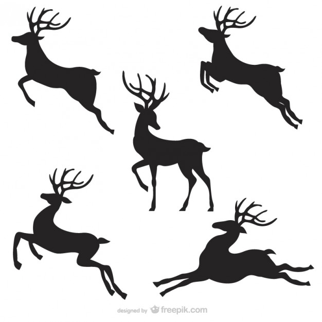 Reindeer Vectors, Photos and PSD files | Free Download