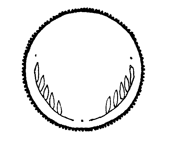 Coin Clipart | Free Download Clip Art | Free Clip Art | on Clipart ...