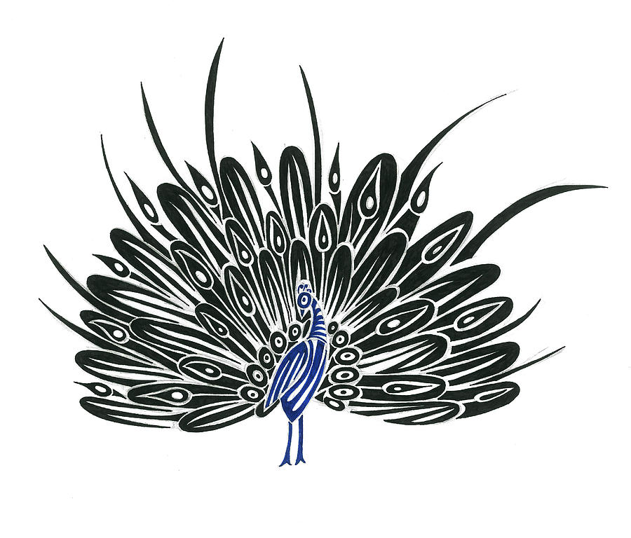 Peacock Drawings for Sale