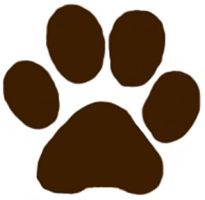Pix For > Brown Dog Paw Prints