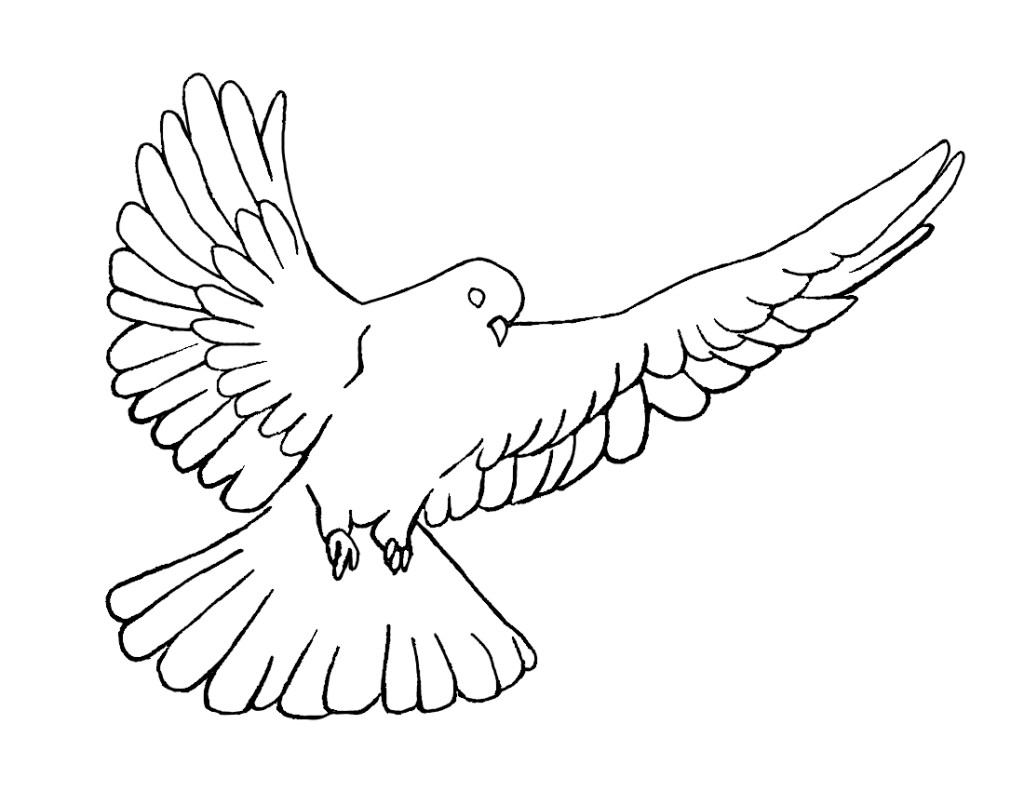 Dove Line Art