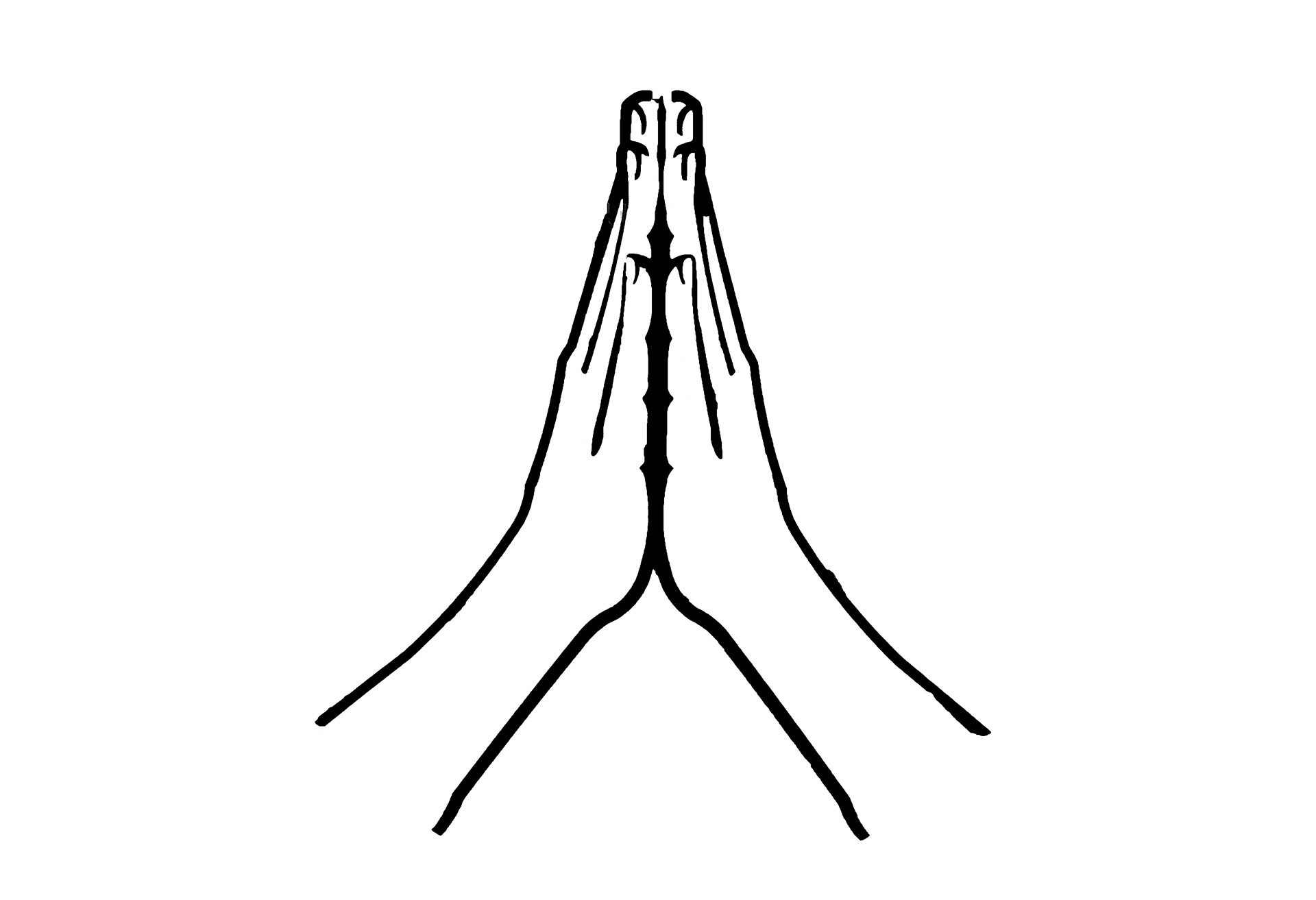 Best Photos of Praying Hands Step By Step Drawing - How to Draw ...
