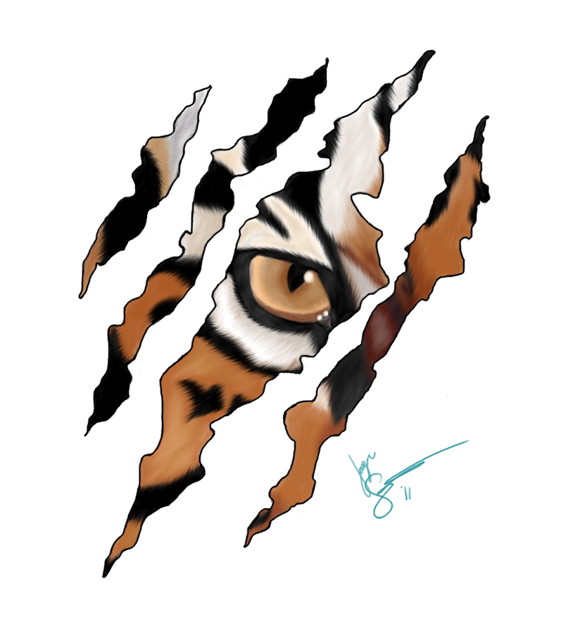 1000+ images about Tigers