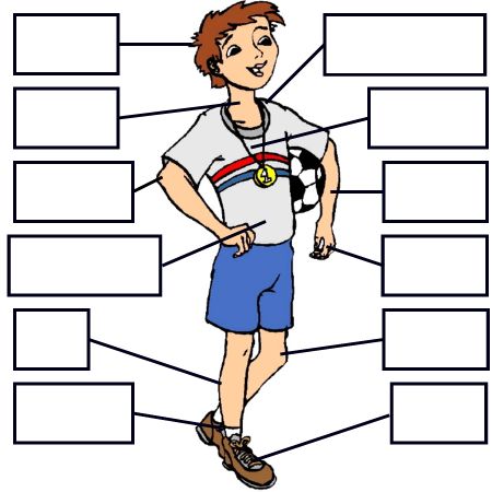 French Parts Of The Body - Lessons - TES Teach