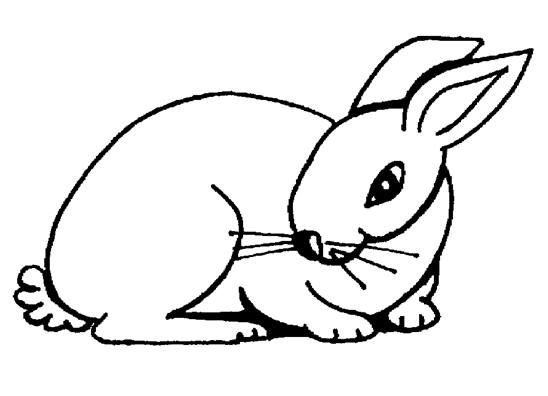 1000+ images about Printable Coloring & Activity Pages on ...