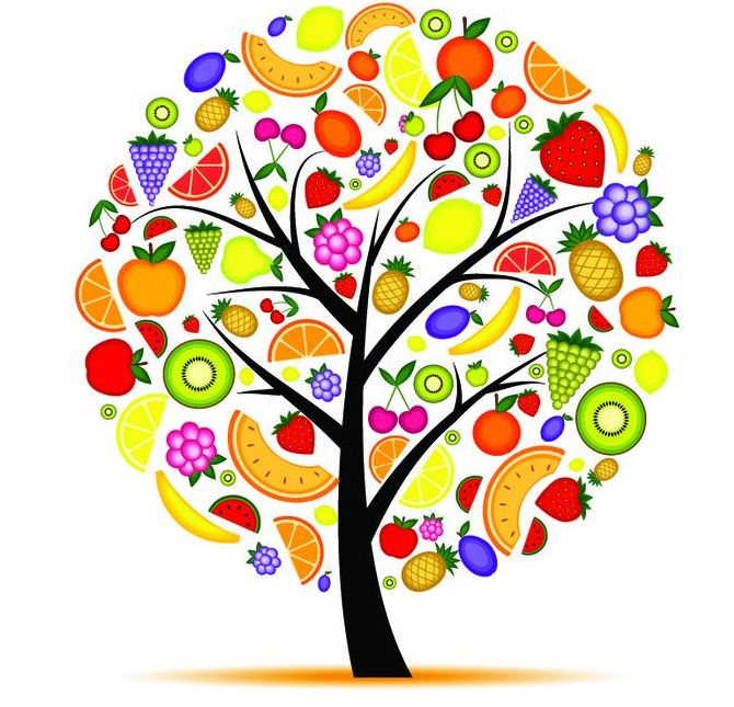 Fruit Tree Cartoon - ClipArt Best