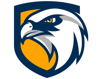 Eagle Eye Security Designed by Gideon6k3 | BrandCrowd