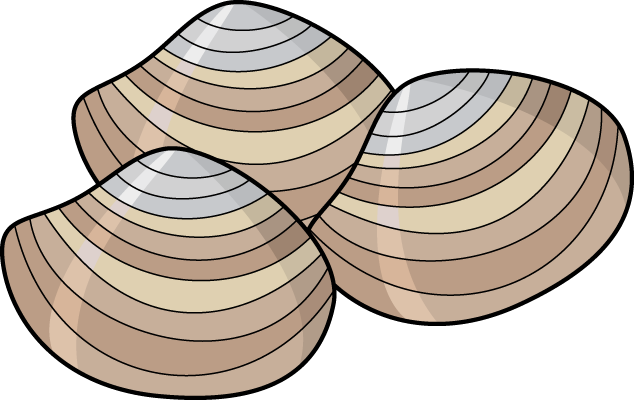 Clam Clip Art - ClipArt Best