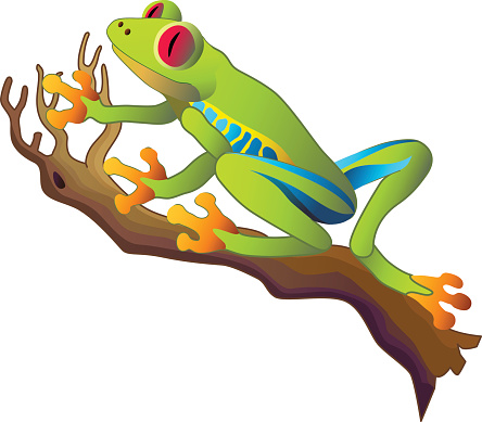 Red Eyed Tree Frog Clip Art, Vector Images & Illustrations