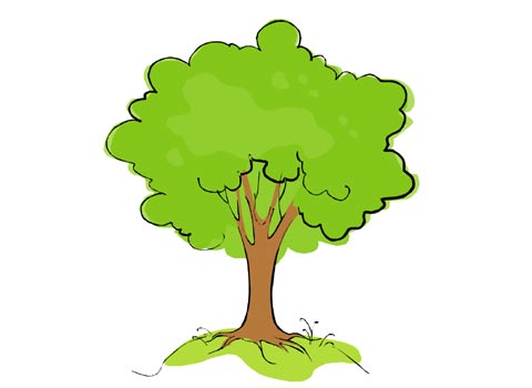 Gardening Site » Tree staking
