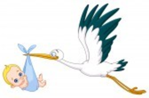 Clipart stork with baby
