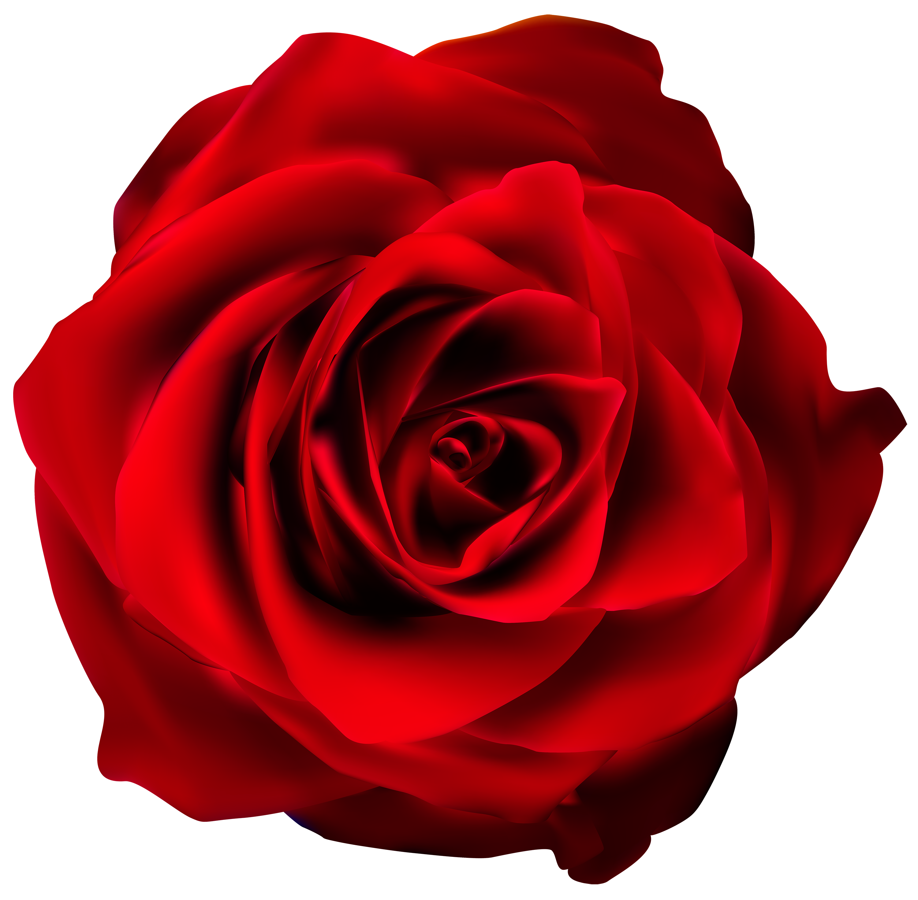 Red Rose Transparent Png Clip Art Image Clipart Best Clipart Best ...