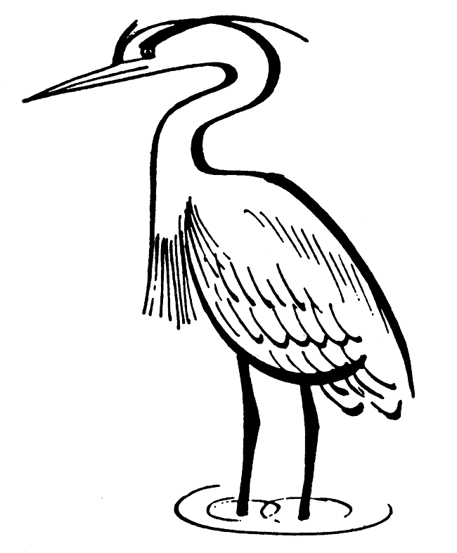 Heron Cartoon - ClipArt Best