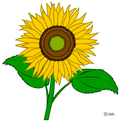 Clipart Sunflower - Tumundografico