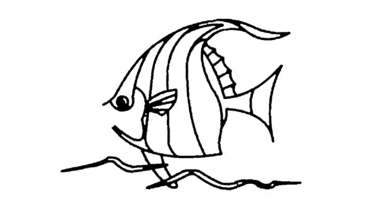 How to draw a tropical fish - YouTube