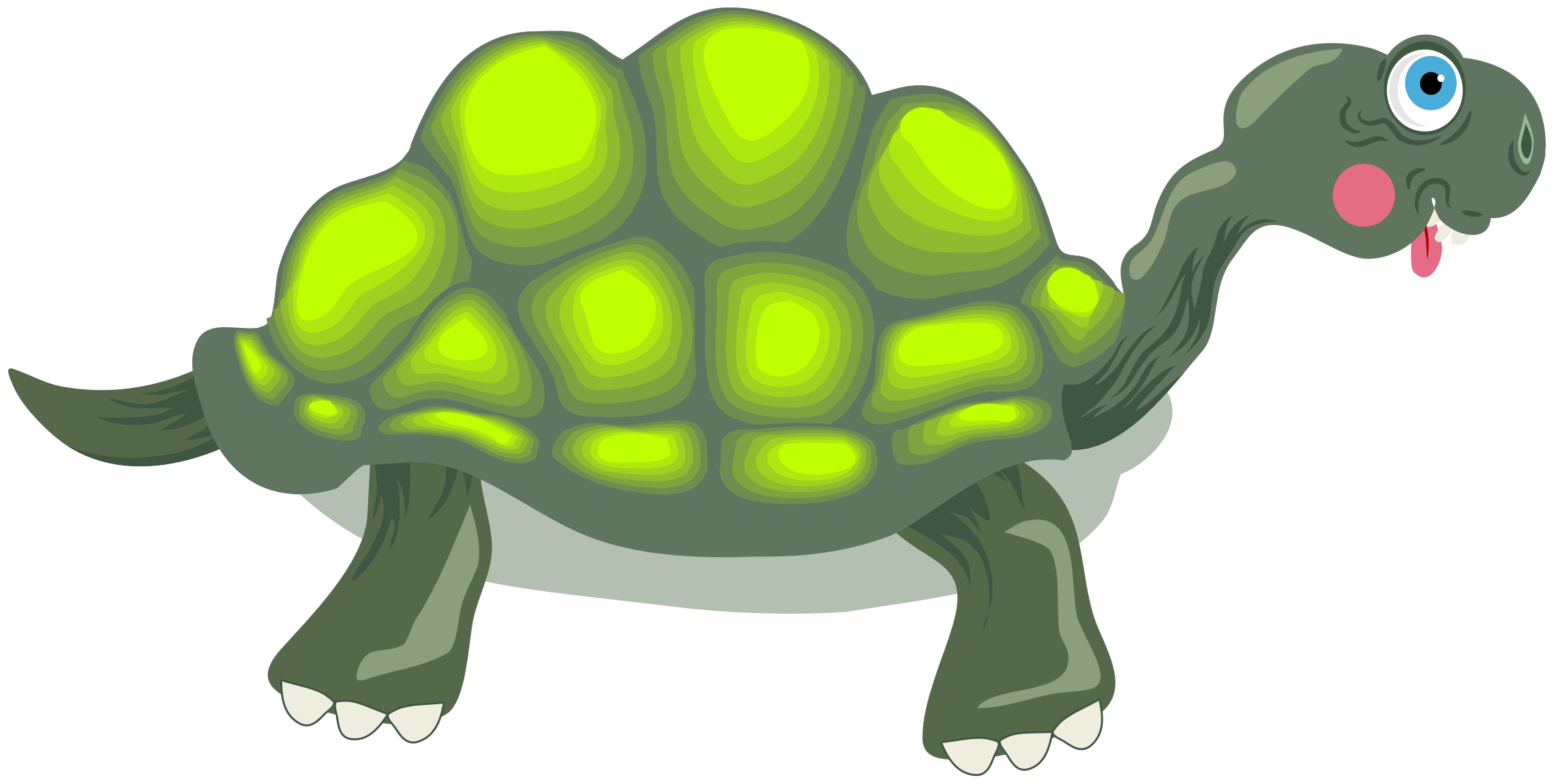Clipart - Tortoise Cartoon