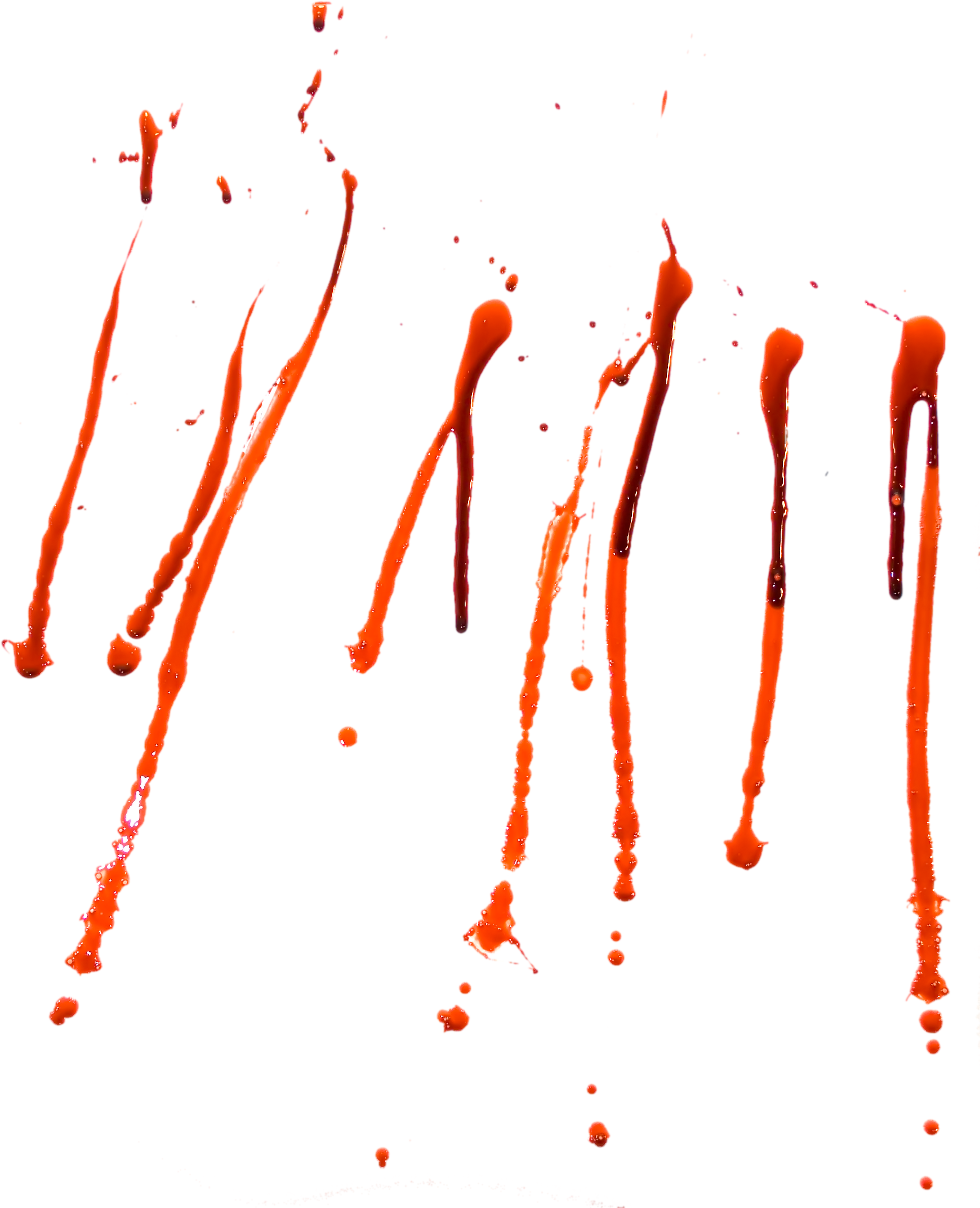 Isolated Photos of blood splatter | Search Keyword of blood splatter
