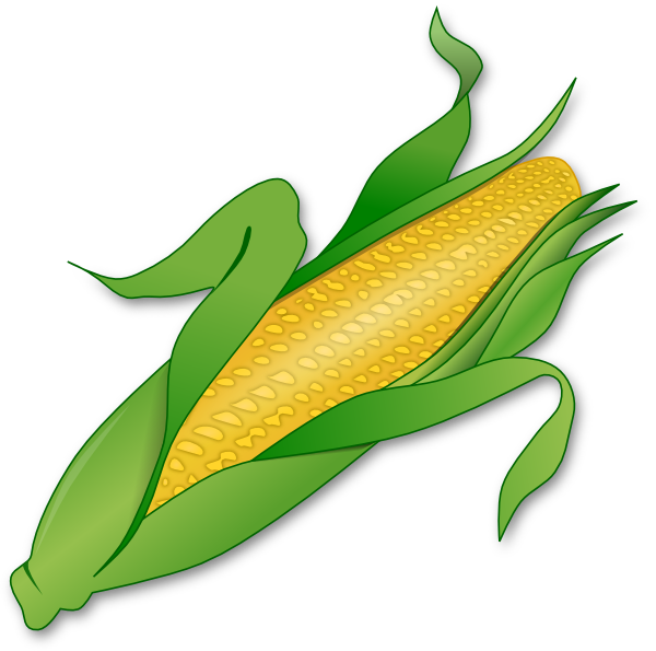 Corn Stalk Clipart