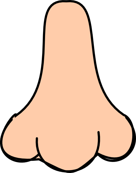 Brown Nose Clipart