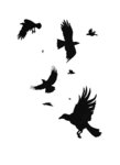 A Murder of Crows