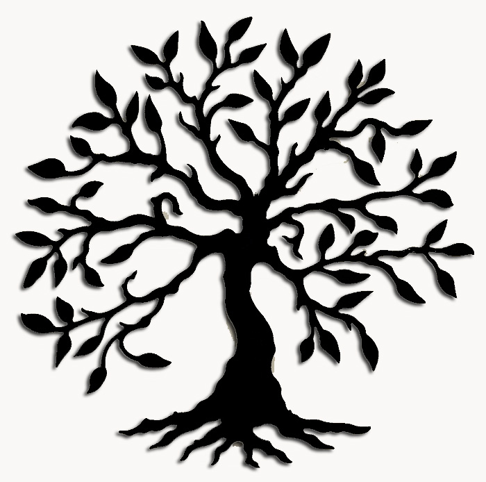 1000+ images about Olive Trees | Trees, A tree and Olives