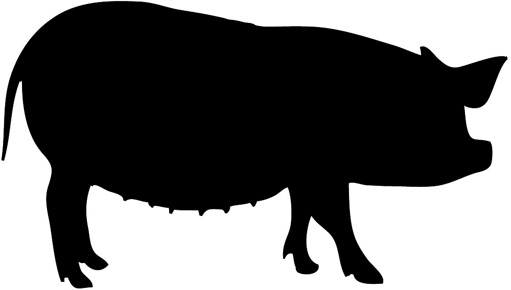 Pig clipart black and white - Pig Animal clip art ...
