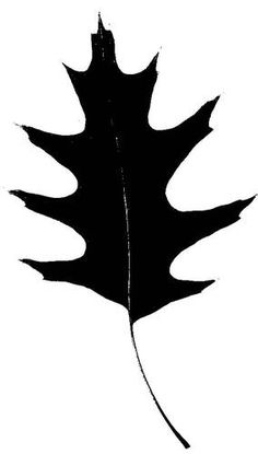 Clip art, Graphics and Public domain