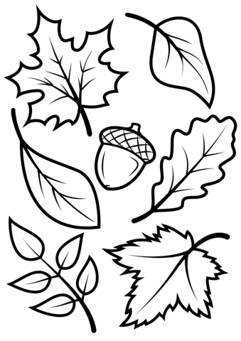 Fall Leaves and Acorn coloring page | Free Printable Coloring Pages