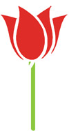 High Altitude Gardening: Thanksgiving Point Tulip Festival