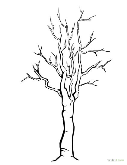 How to Draw a Detailed Tree: 7 Steps (with Pictures) - wikiHow