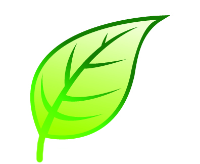 Bachecki, Crom & Co., LLP- South San Francisco, CA CPA