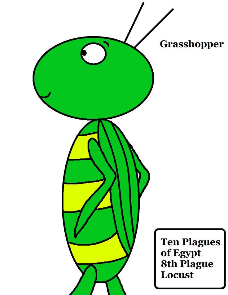 1000+ images about PLAGUE 8: INVASION OF LOCUSTS!!!