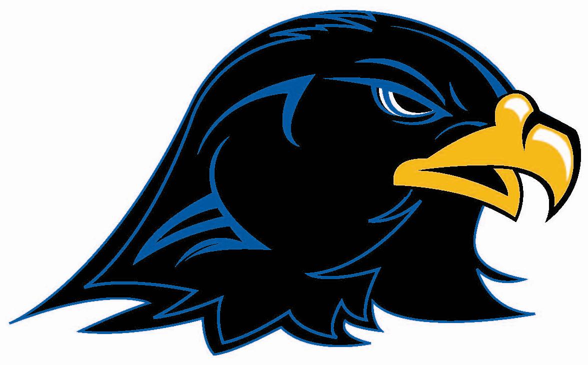 Hawk free bird clipart large images - dbclipart.com