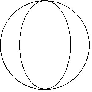 Beach Ball Template - ClipArt Best